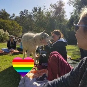 Meet your Posher, Jennafer